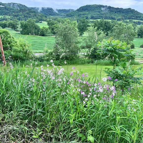 marifleur